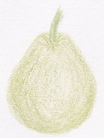 ユウガオの育て方や特徴を紹介しています 野菜のきょうしつ